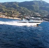Dolphin, foto 2
