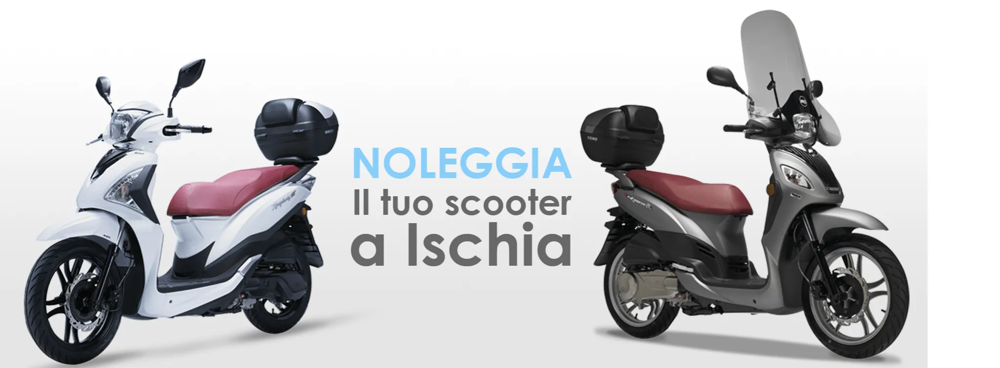 Foto principale noleggio Noleggio Manzi - Veicoli disponibili a Casamicciola Ischia